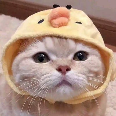 Joko Widodo avatar