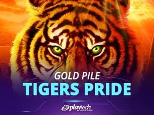 Gold Pile Tigers Pride